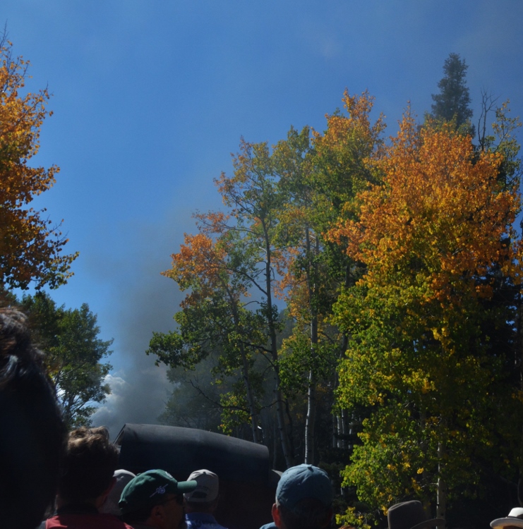 fall foliage with steam from train 